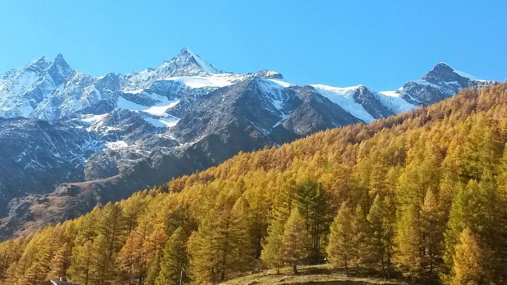 Ferienhaus Antigua Saas-Grund Bagian luar foto